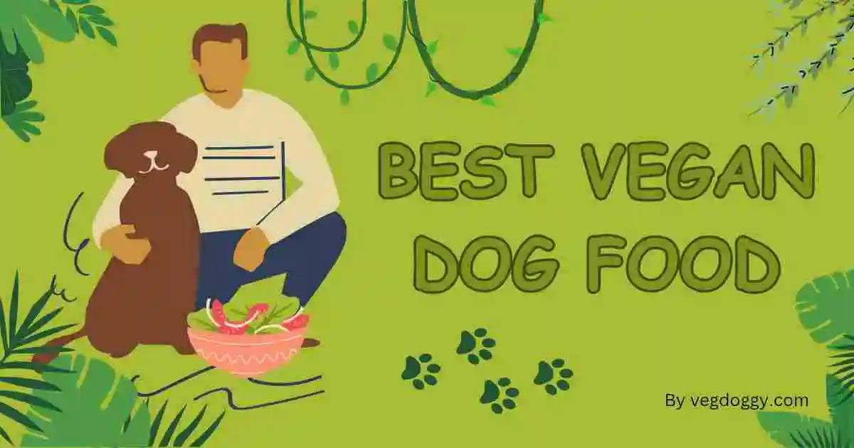 Best vegan dog foods