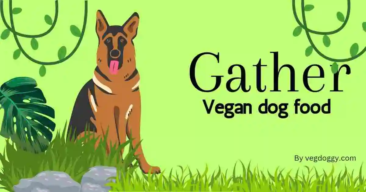 Gather vegan dog food