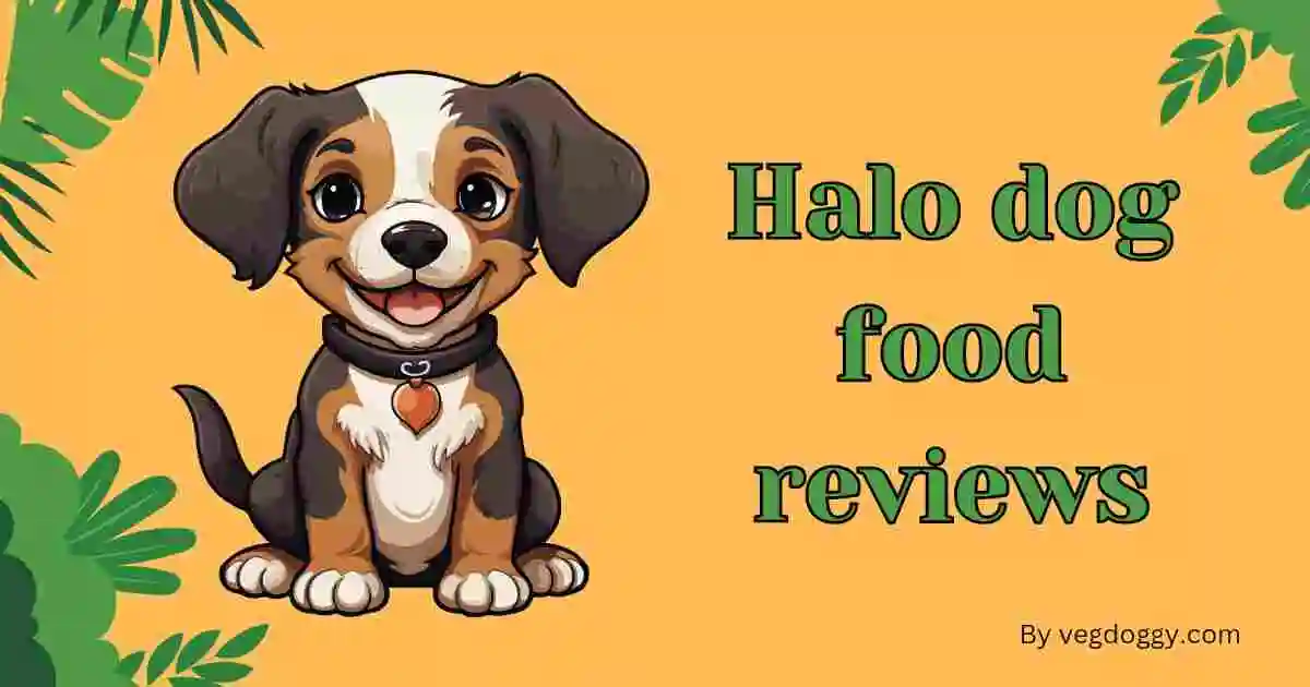 Halo dog food reviews