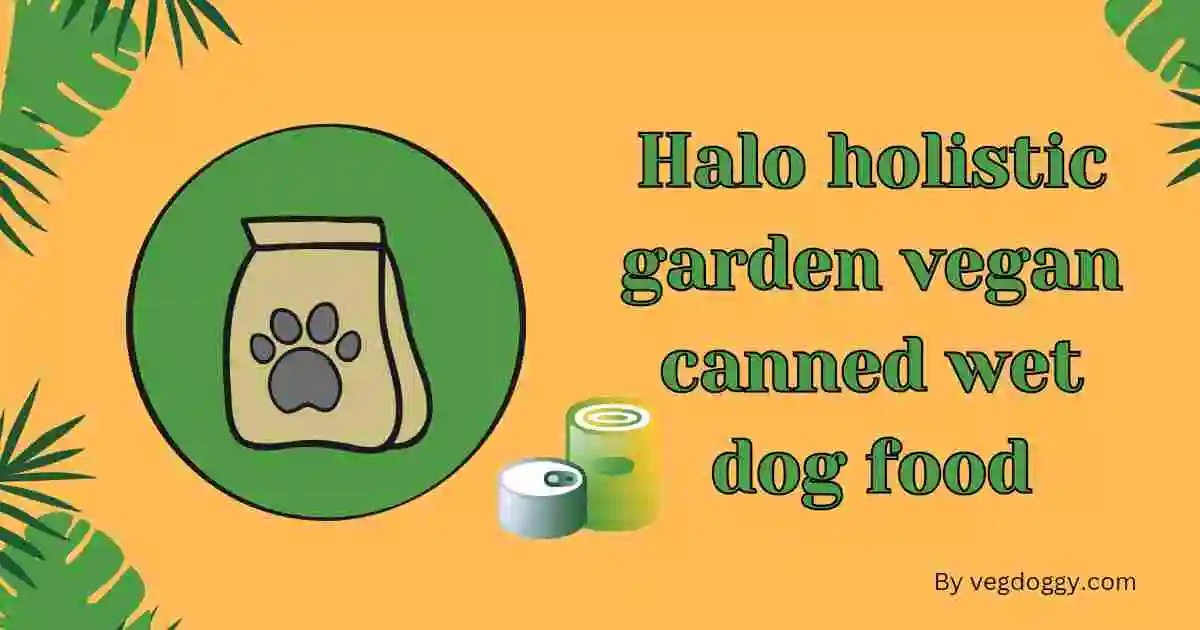 Halo holistic garden vegan canned wet dog food