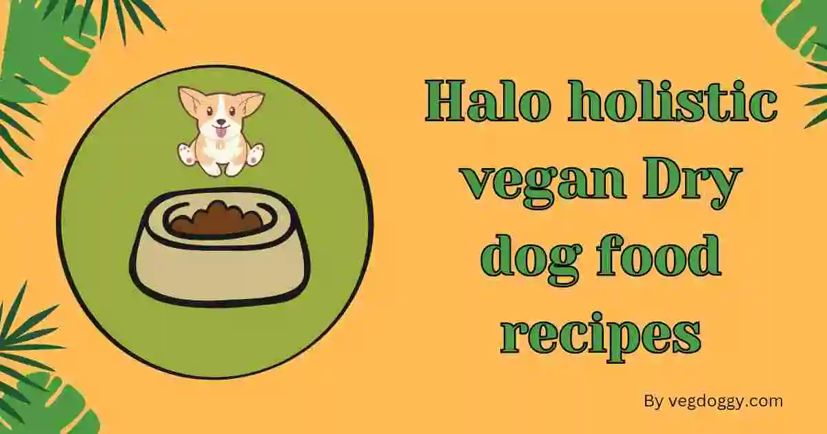 Halo holistic vegan Dry dog food recipes