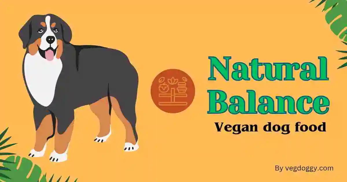 Natural balance vegan dog food